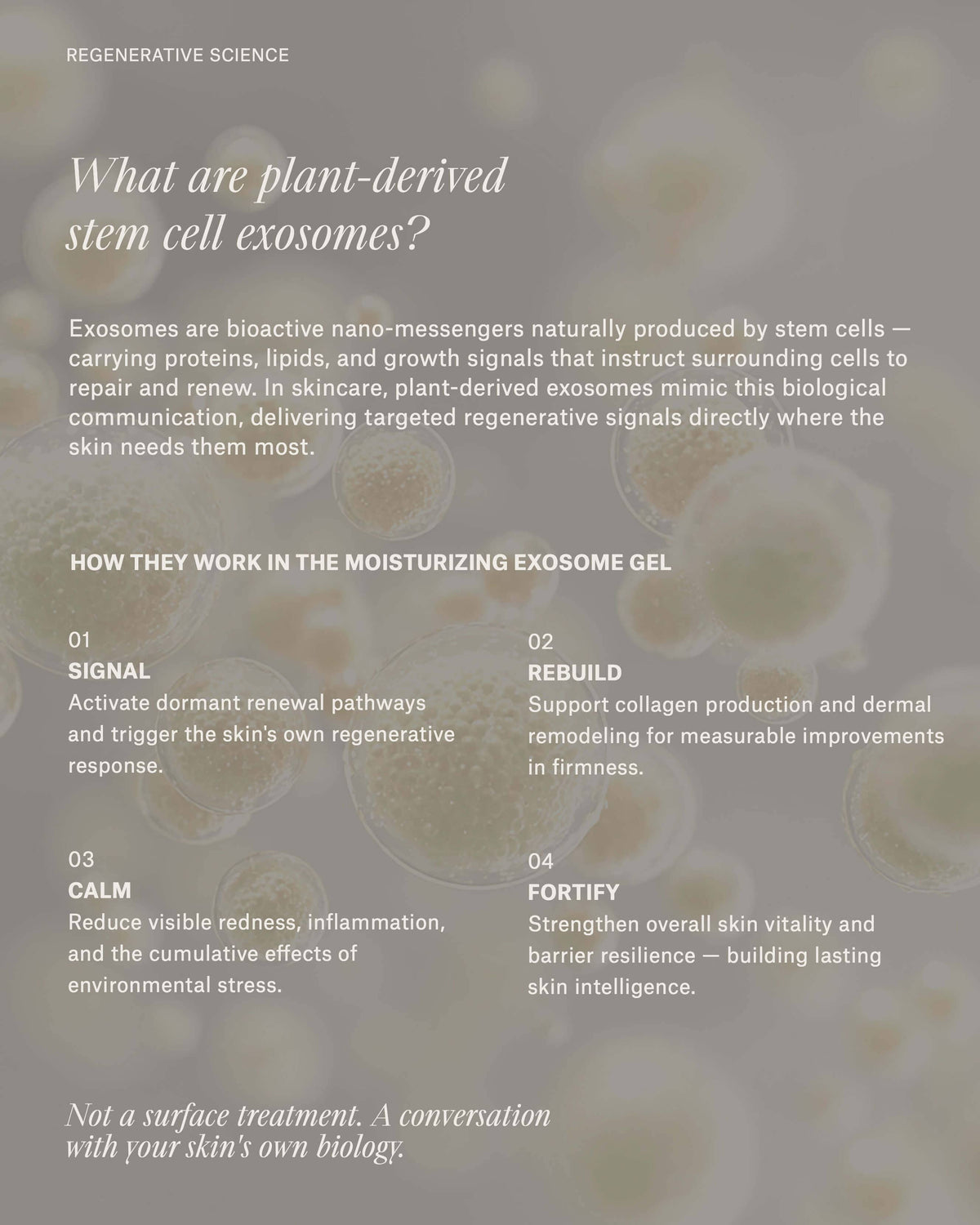 Moisturizing Exosome Advanced Regenerative Gel Moisturizer