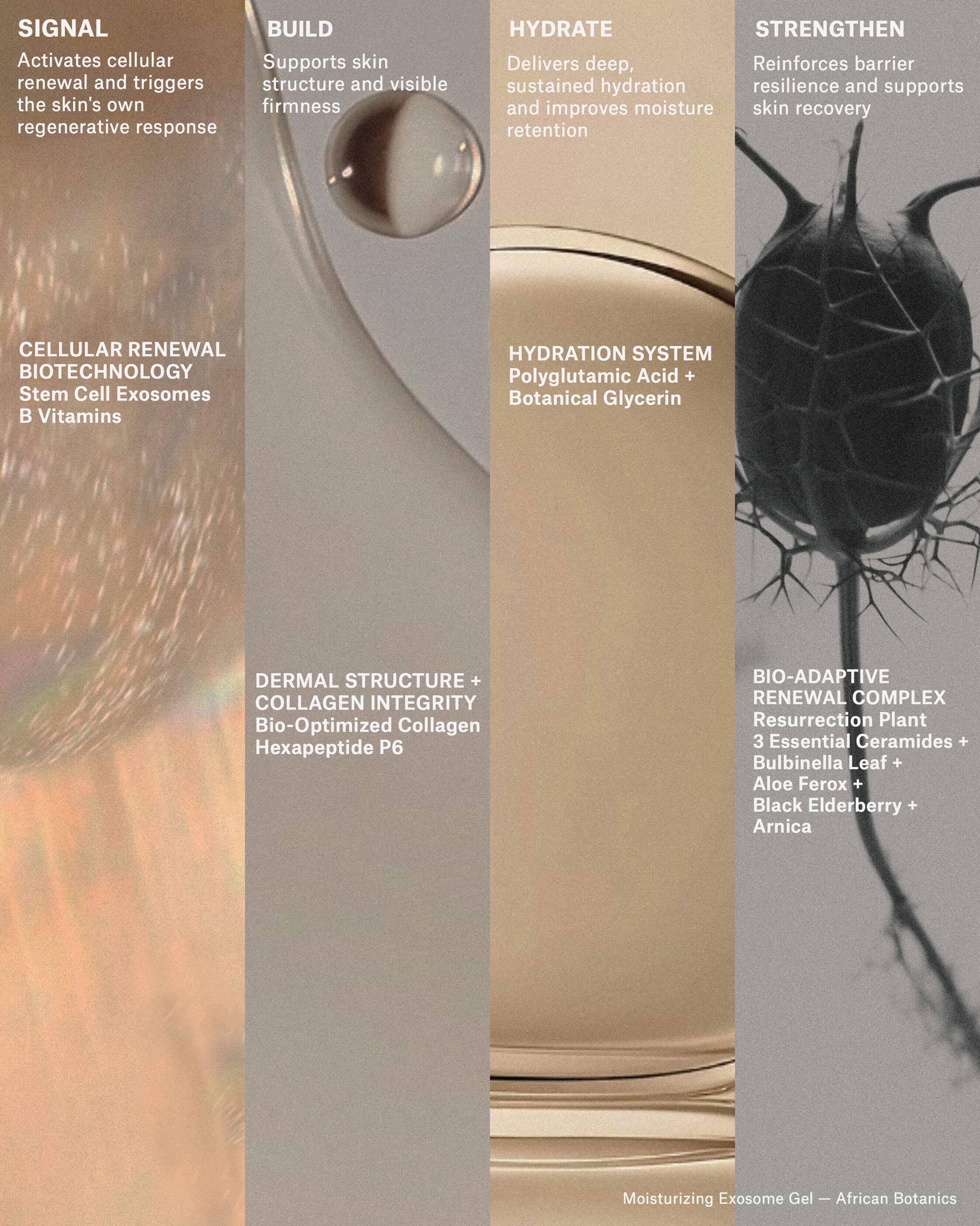 Moisturizing Exosome Advanced Regenerative Gel Moisturizer