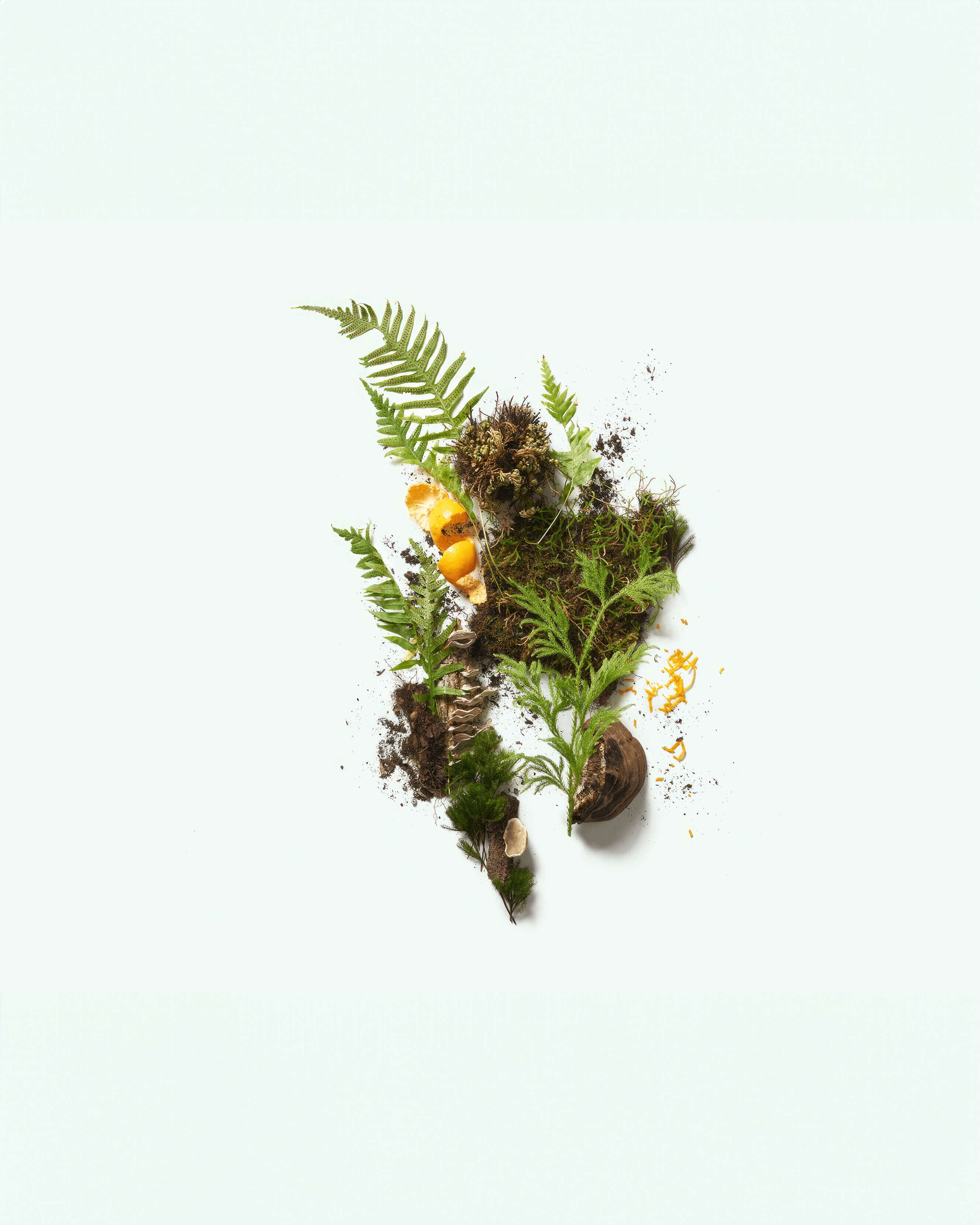 The Botanist Natural Deodorant