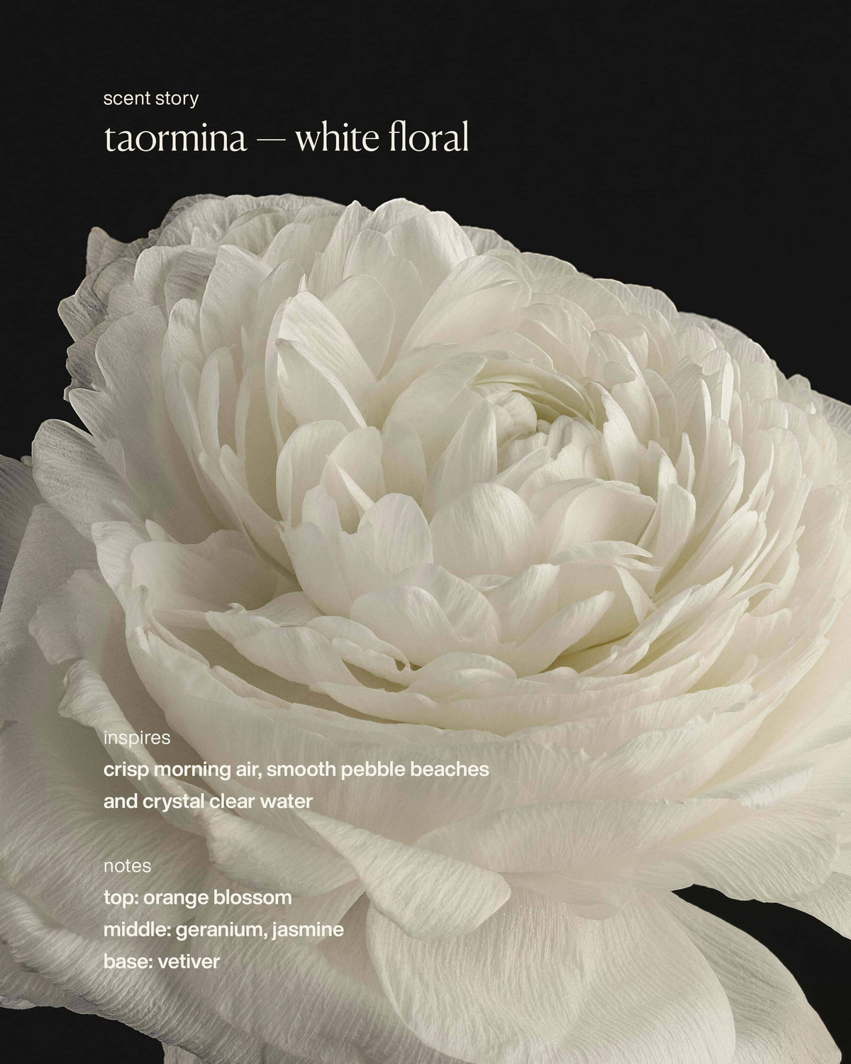 taormina - restorative hand wash refill