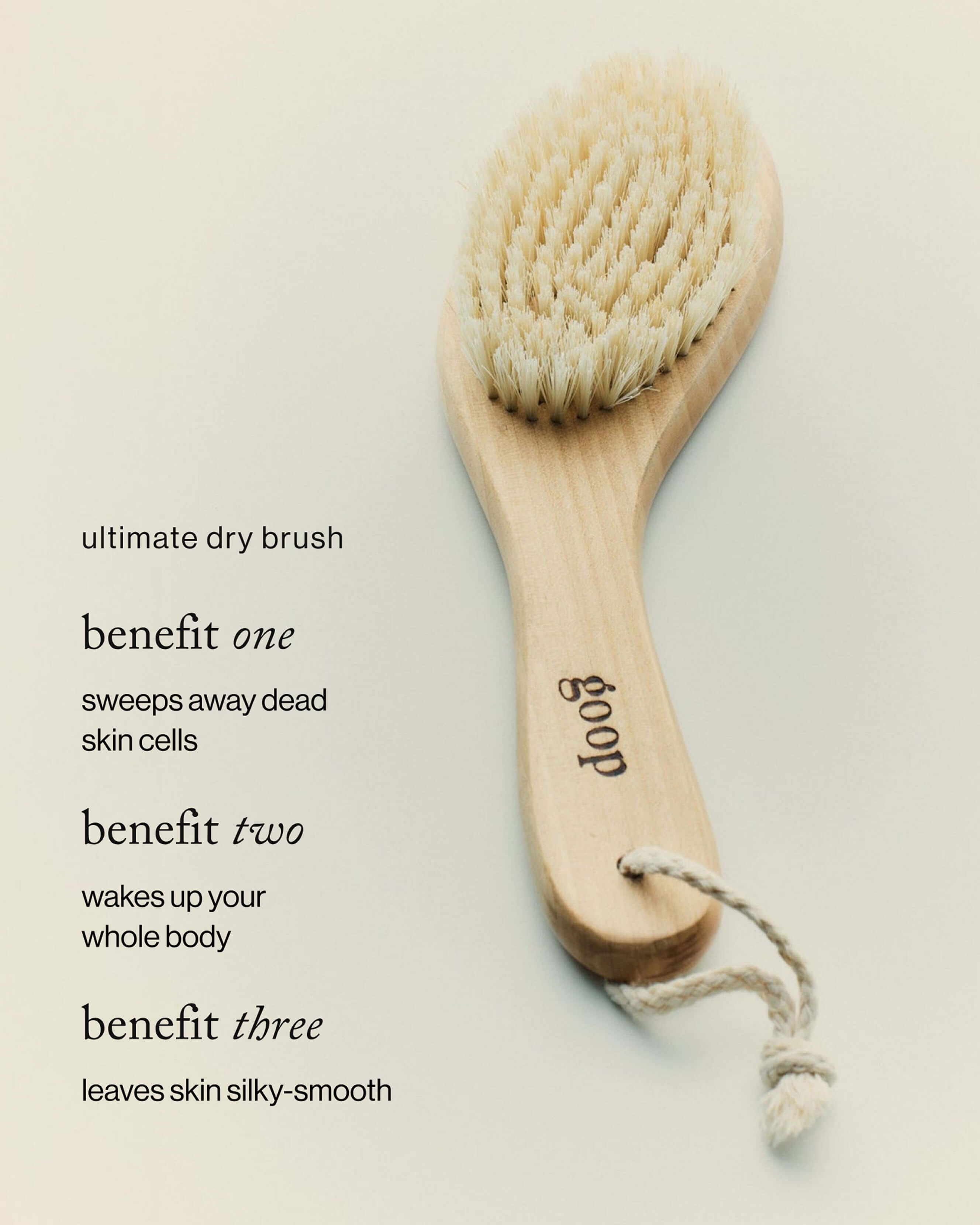G.Tox Ultimate Dry Brush