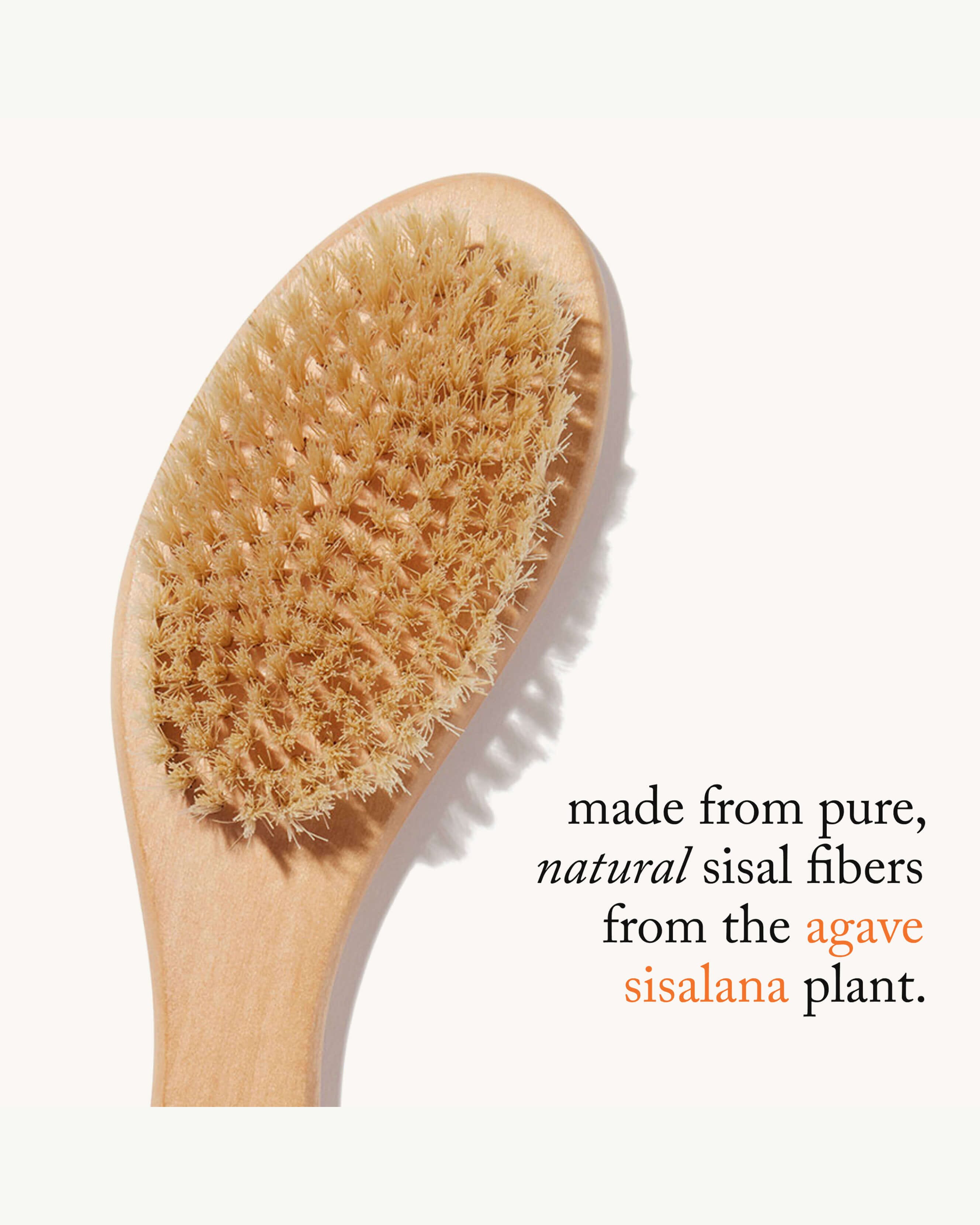 G.Tox Ultimate Dry Brush