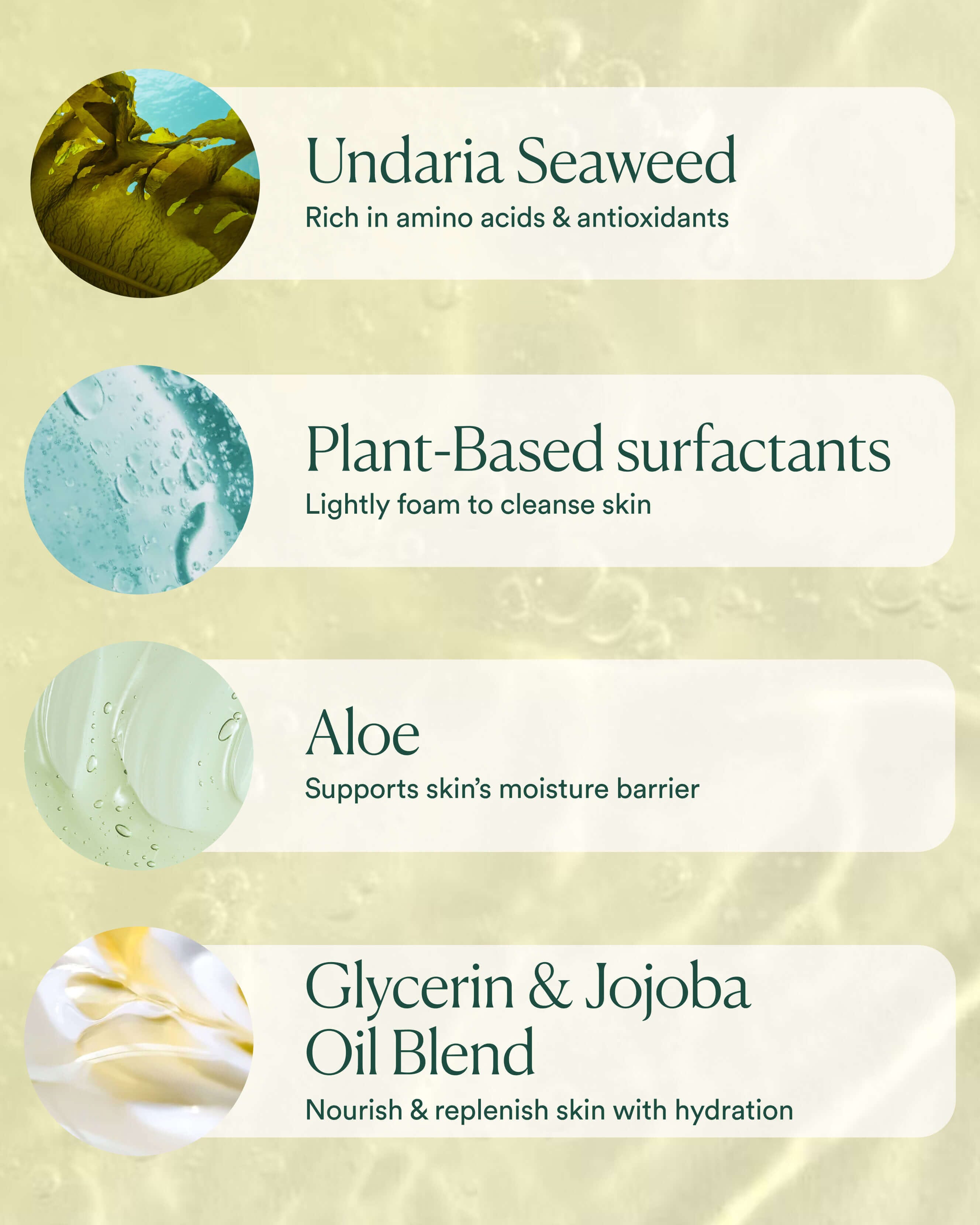 Undaria Algae Body Wash