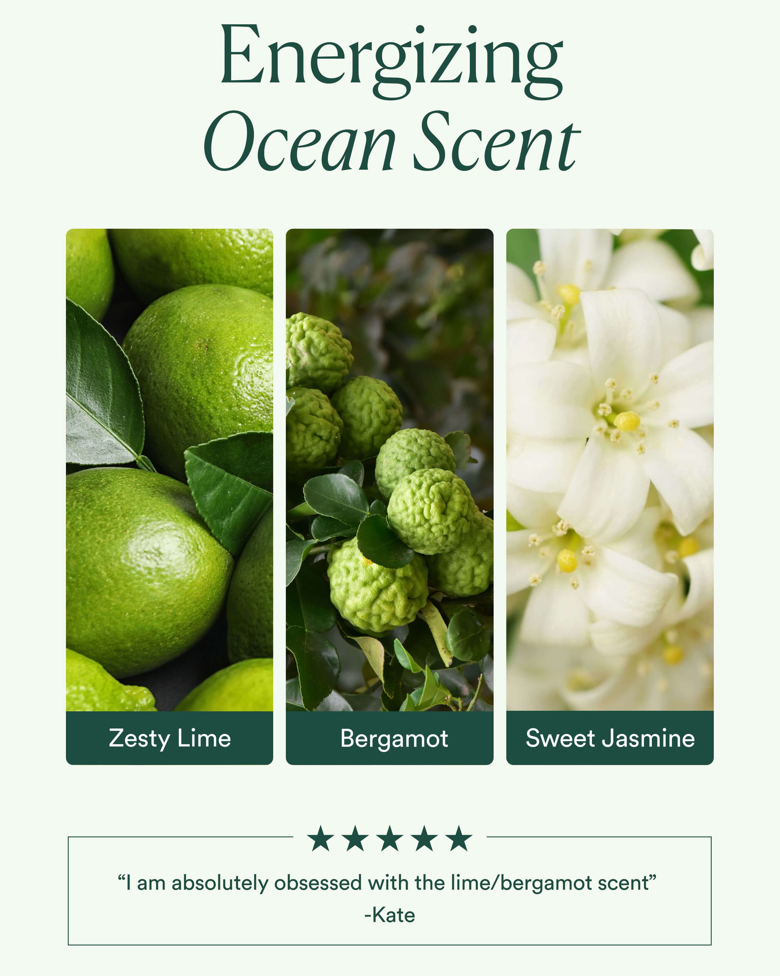 Ocean Cleanser