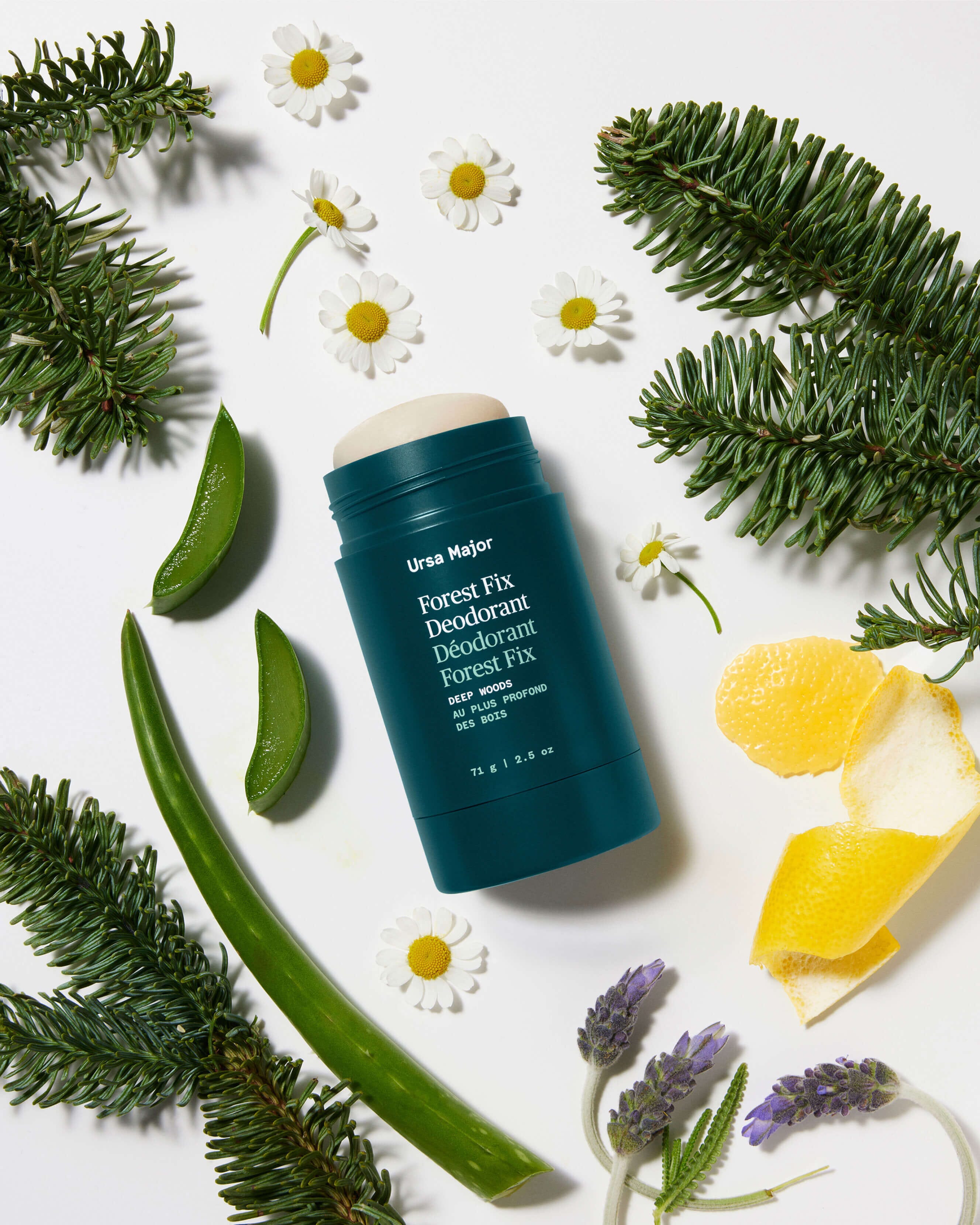 Forest Fix Deodorant