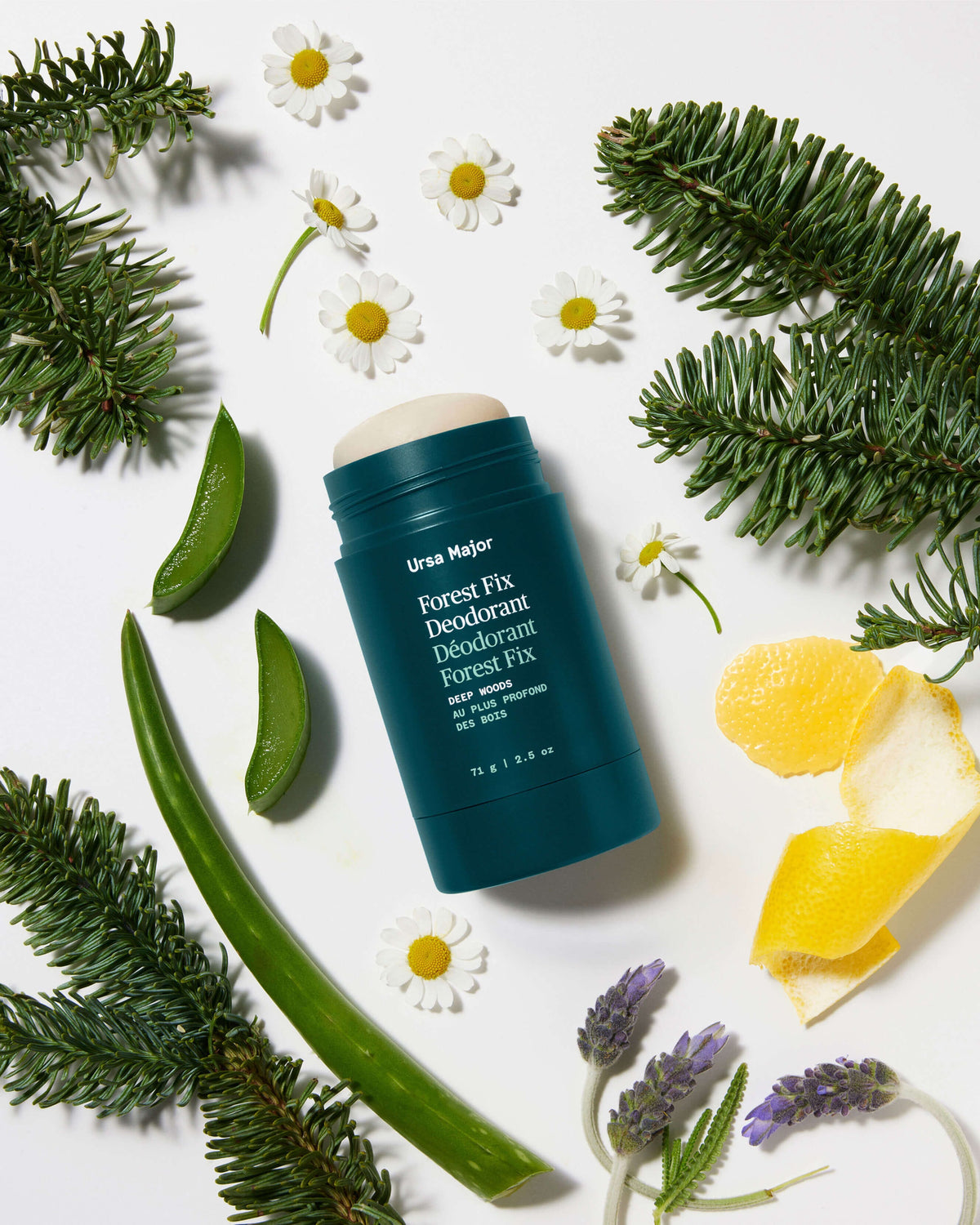 Forest Fix Deodorant
