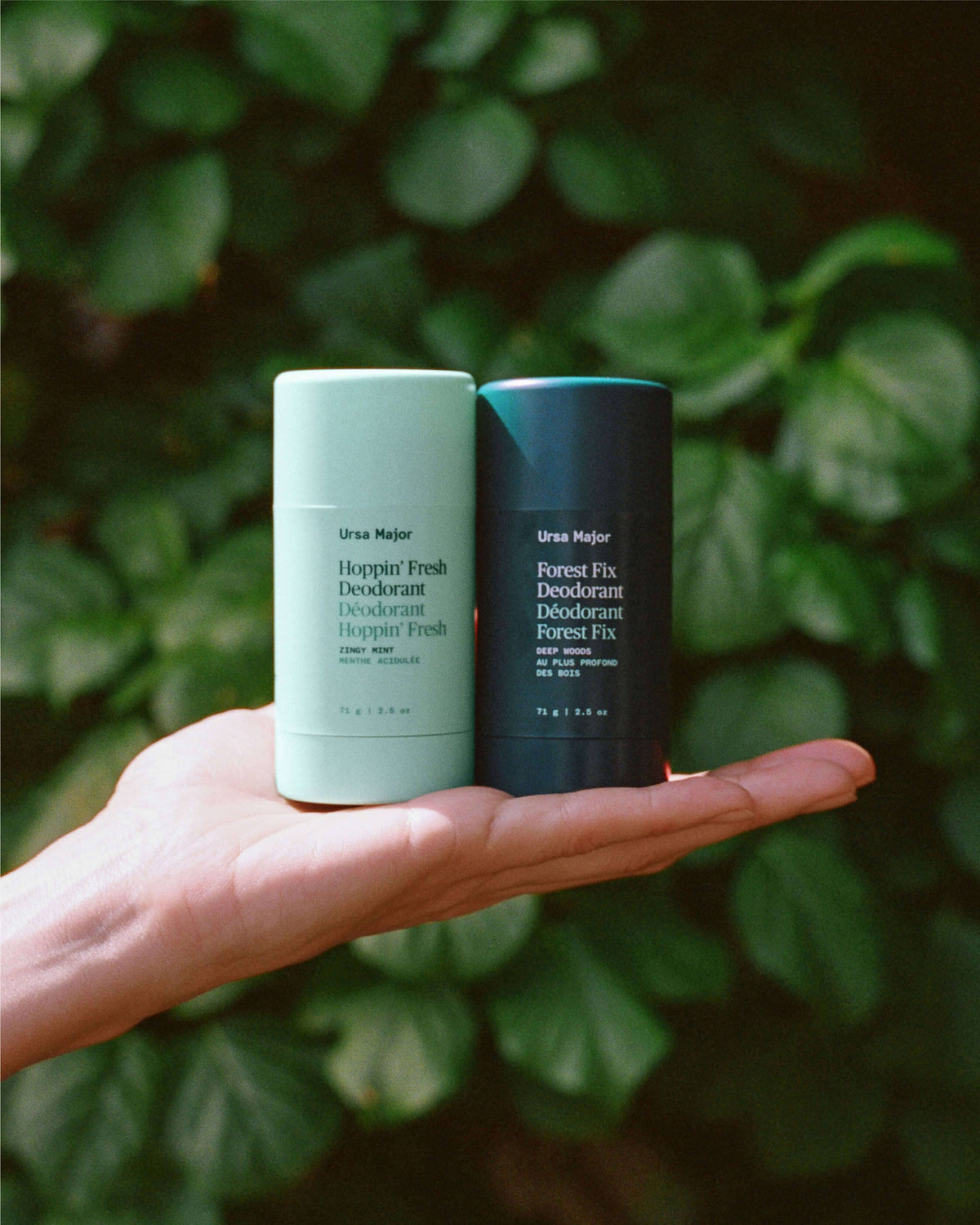 Forest Fix Deodorant
