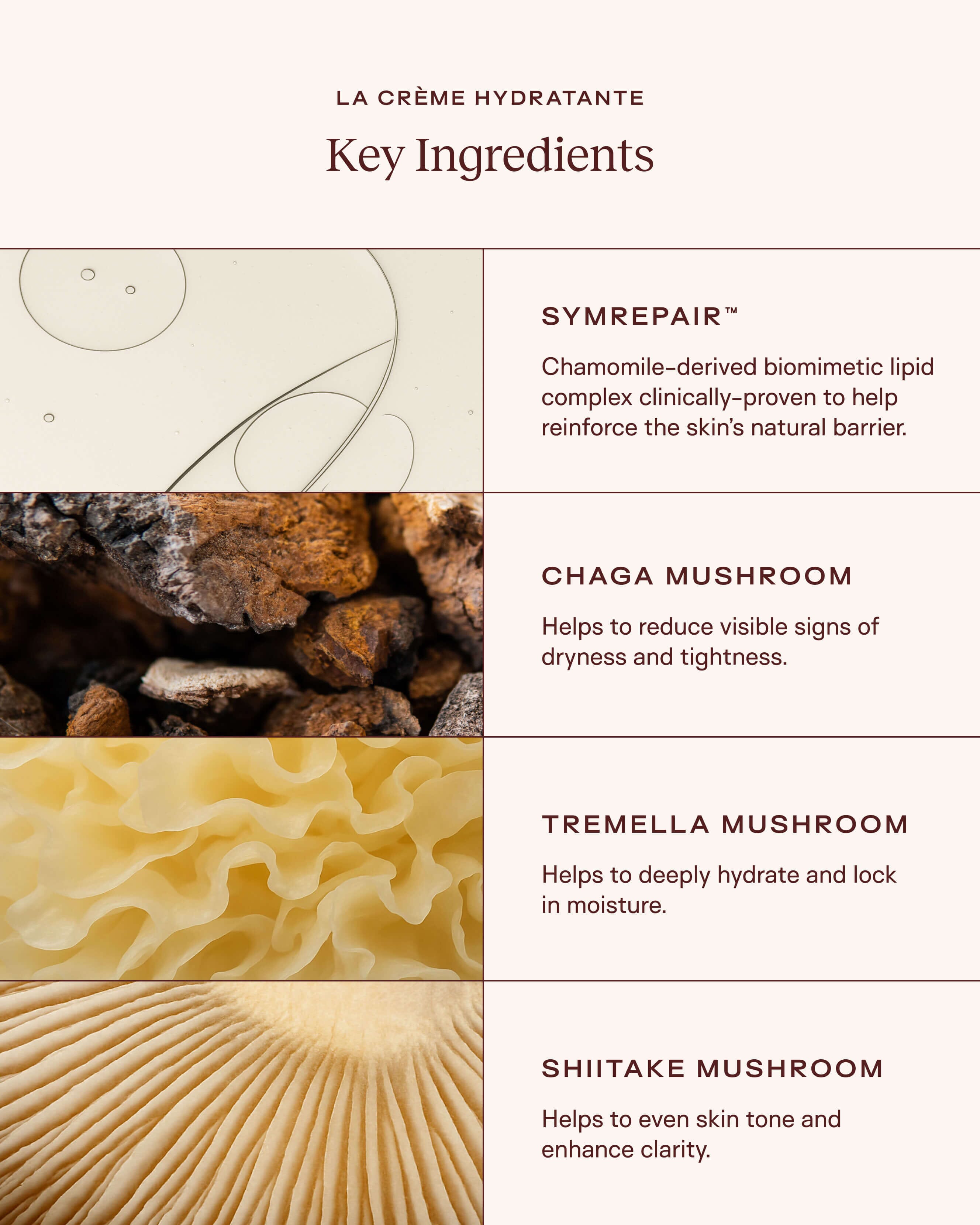 La Crème Hydratante – Beta-Glucan Mushroom Moisturizer